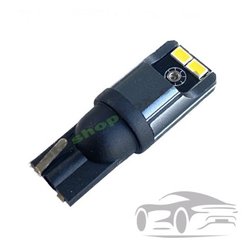 Диодни крушки CAMBUS 12/24V 2бр/к-т